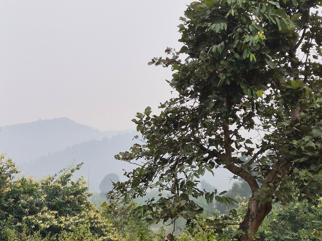 Dalma Wildlife Sanctuary-哲雪铺必去景点