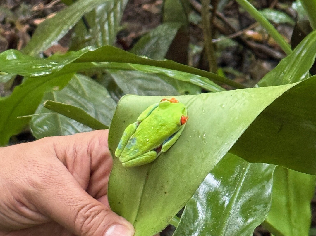 No Limit Adventures CR-利比里亚必去景点