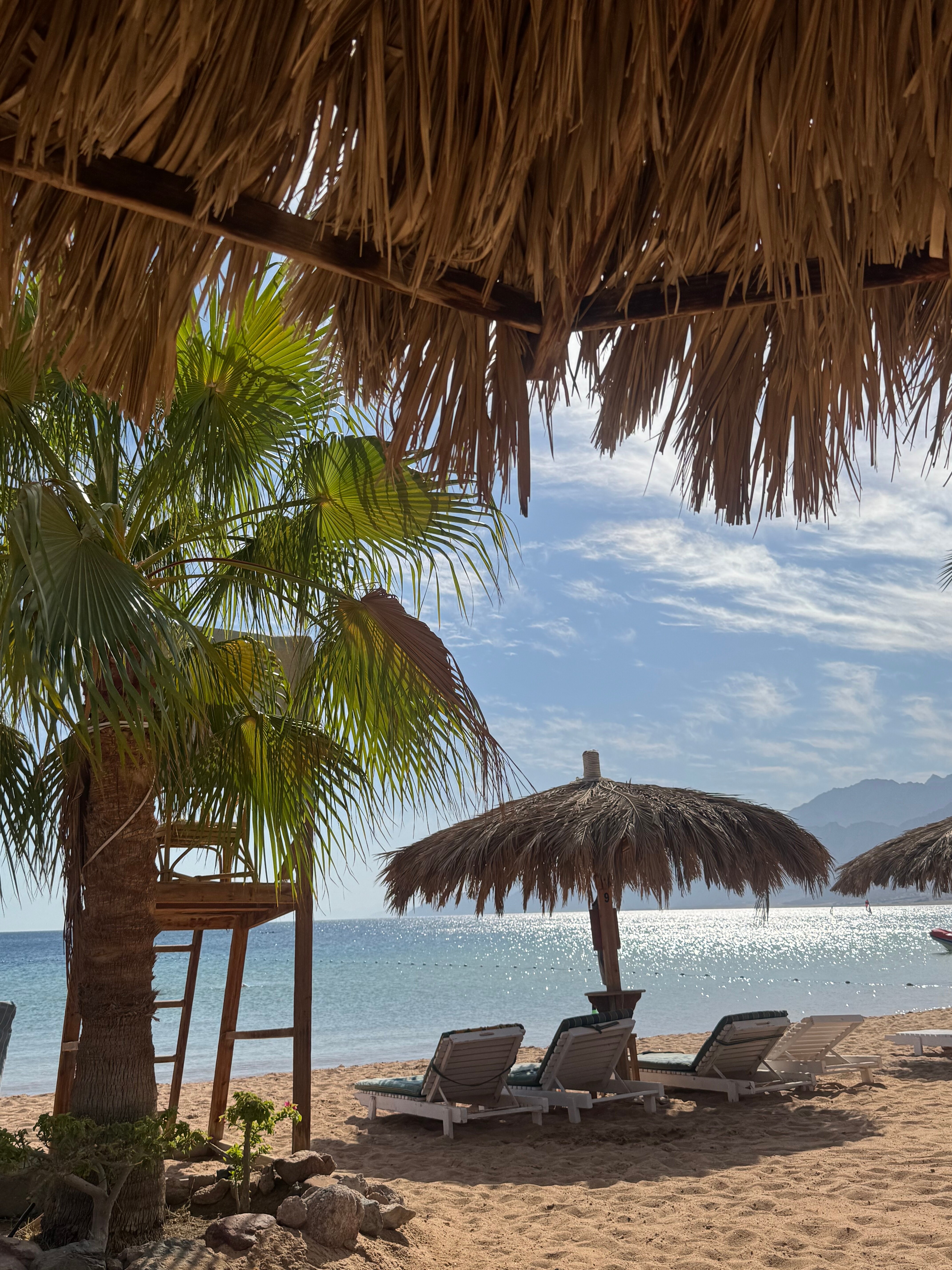 Swiss Inn Resort Dahab-官方