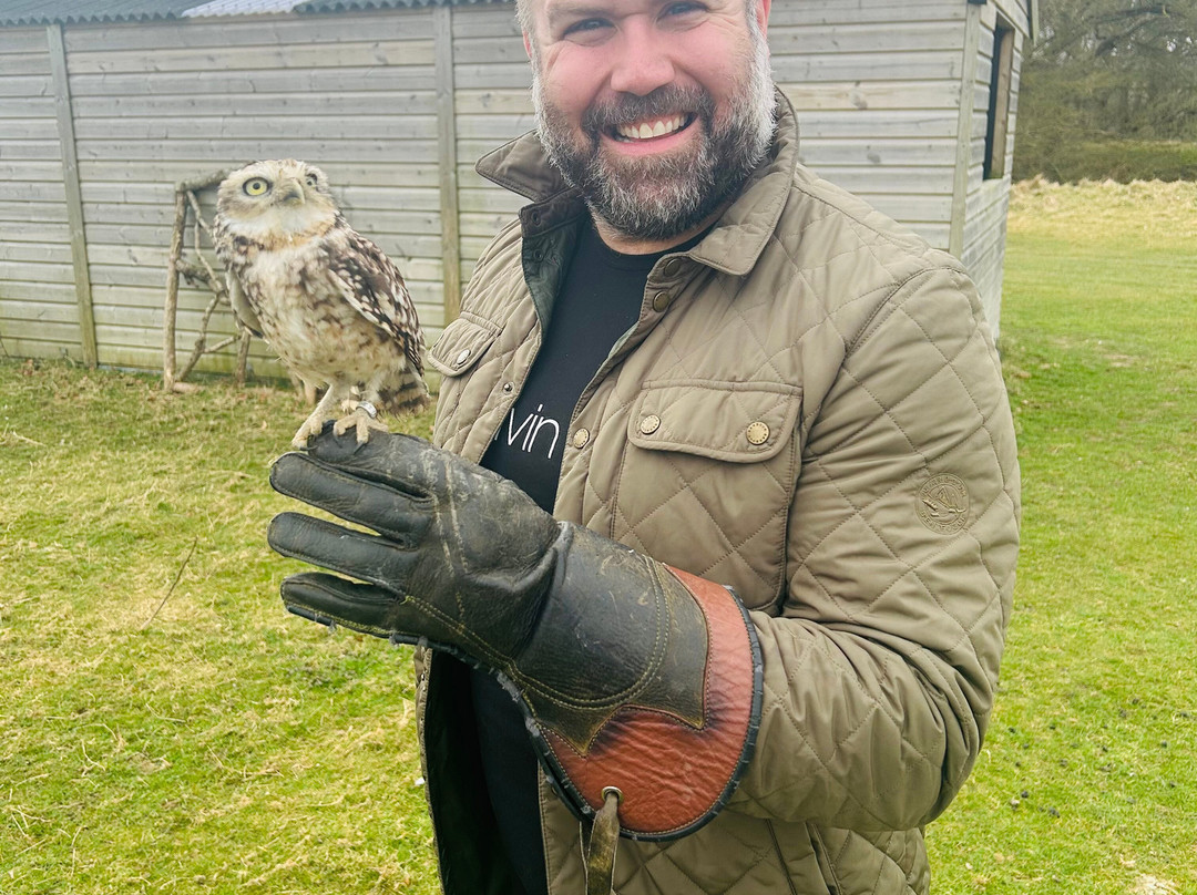 Joe's Bows-Faversham必去景点