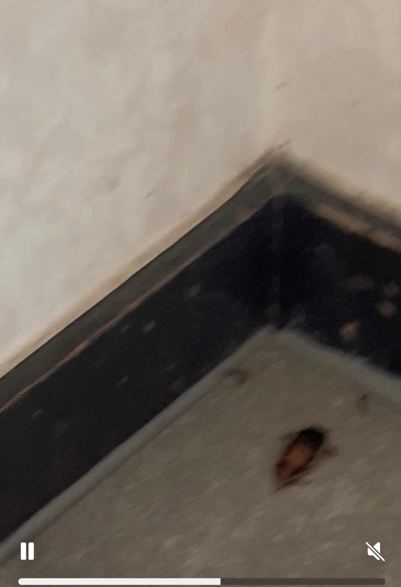 Opononi Hotel-官方