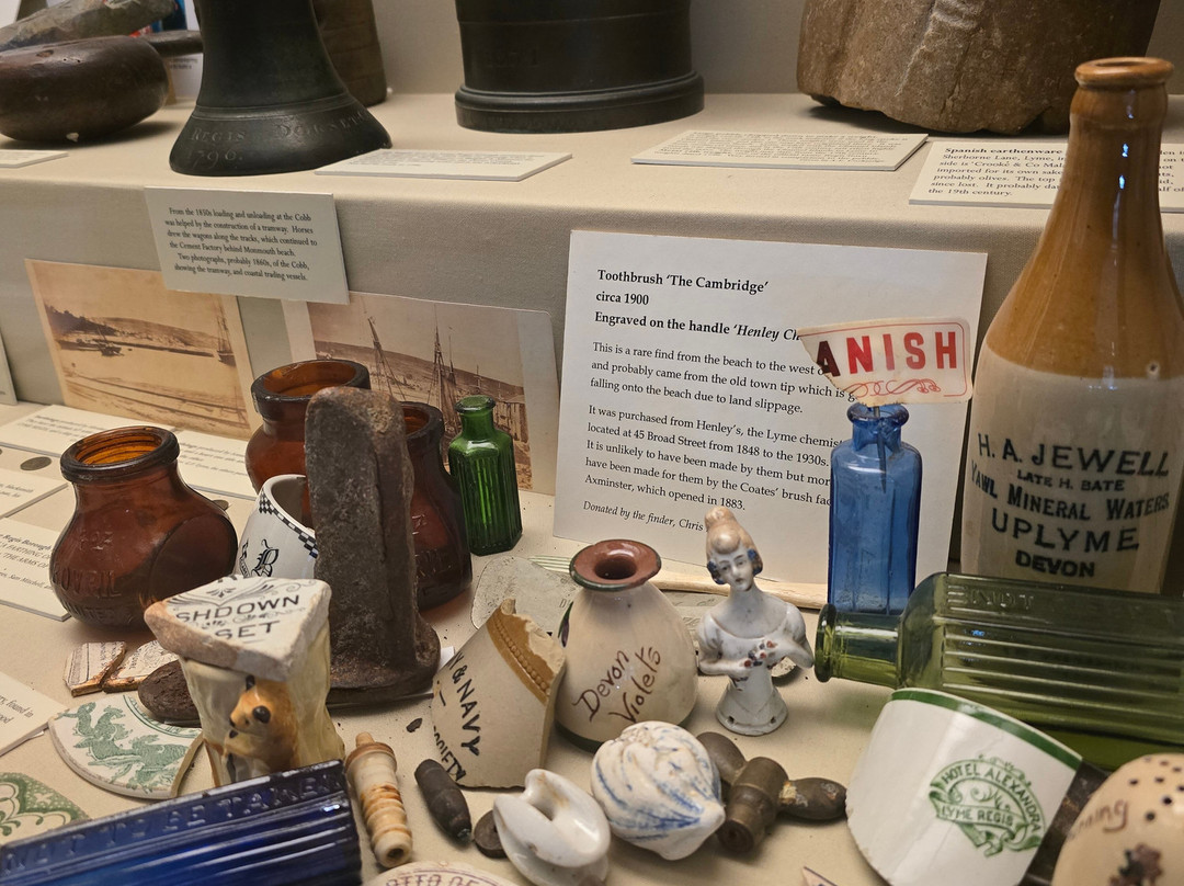 Lyme Regis Philpot Museum-莱姆里杰斯必去景点