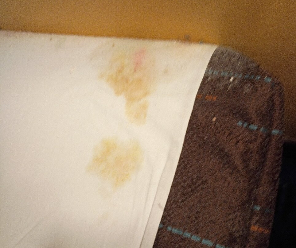 Fairfield by Marriott Inn & Suites Palm Coast I-95主图