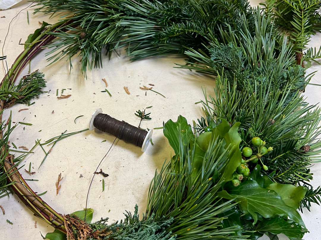 Bromley Parks Environmental Education-奥尔平顿必去景点