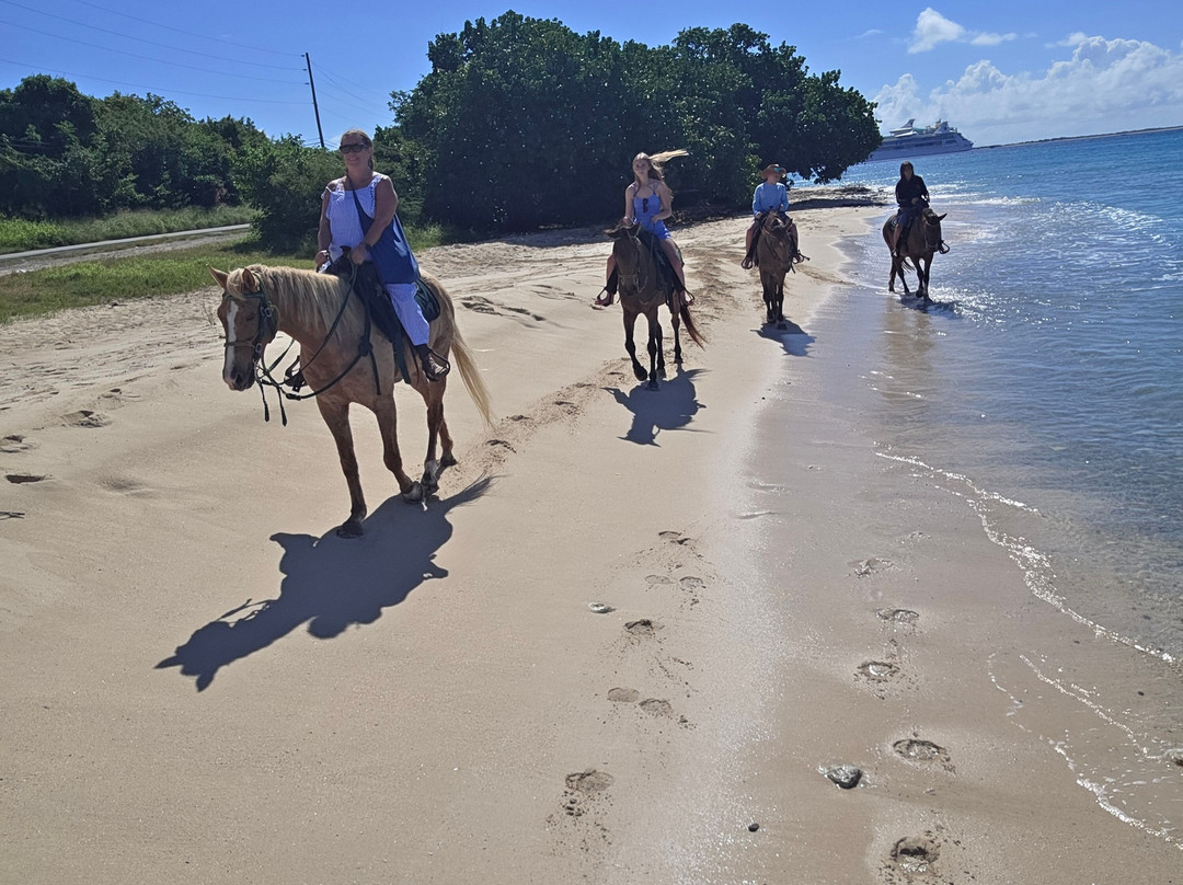 Cruzan Cowgirls-Frederiksted必去景点