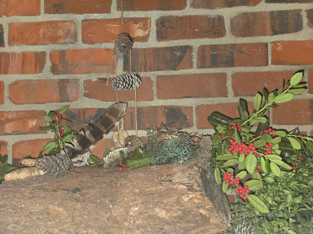 Historic Rosedale-夏洛特必去景点