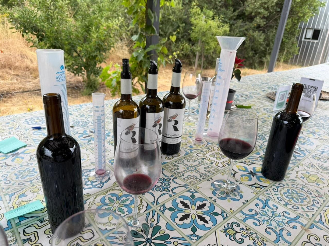 Viña Ranquilhue-Pumanque必去景点