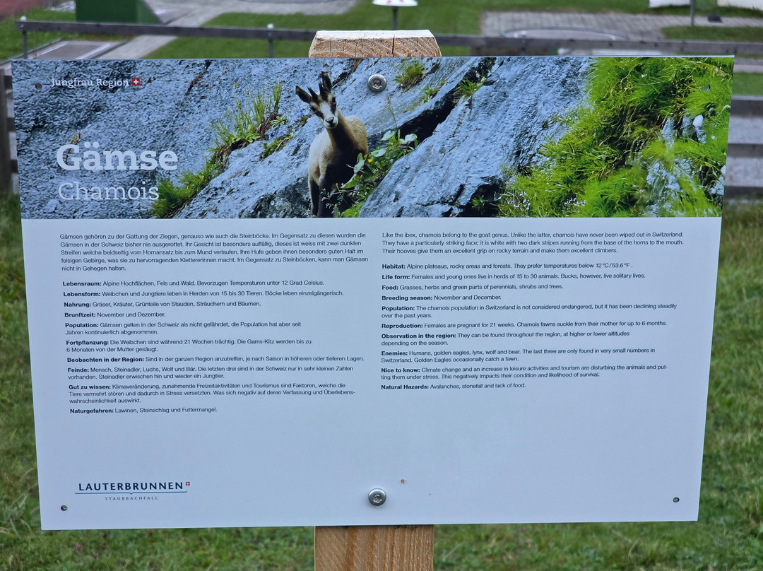 Lauterbrunnen Village-劳特布龙嫩必去景点