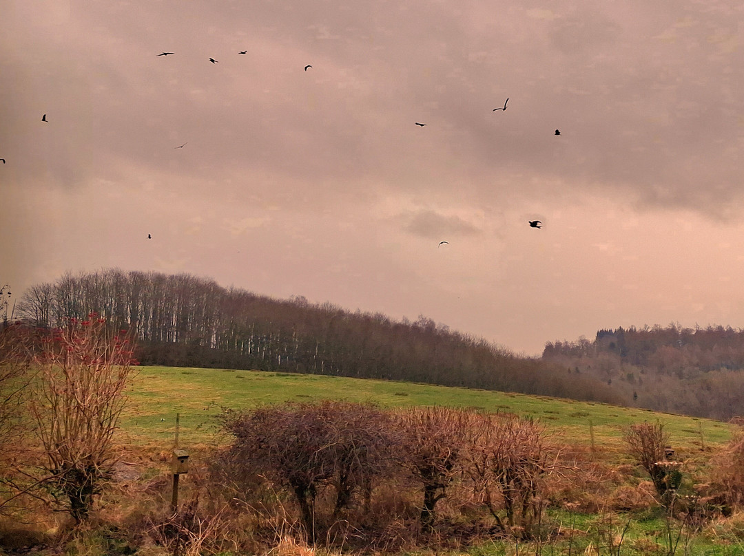 Argaty Red Kites-Doune必去景点