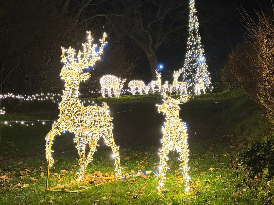 Manorafon Farm Park-Abergele必去景点