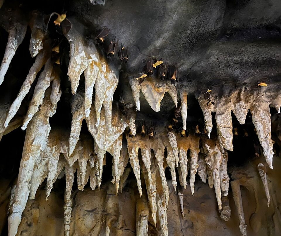 National Museum of Natural History-马尼拉必去景点