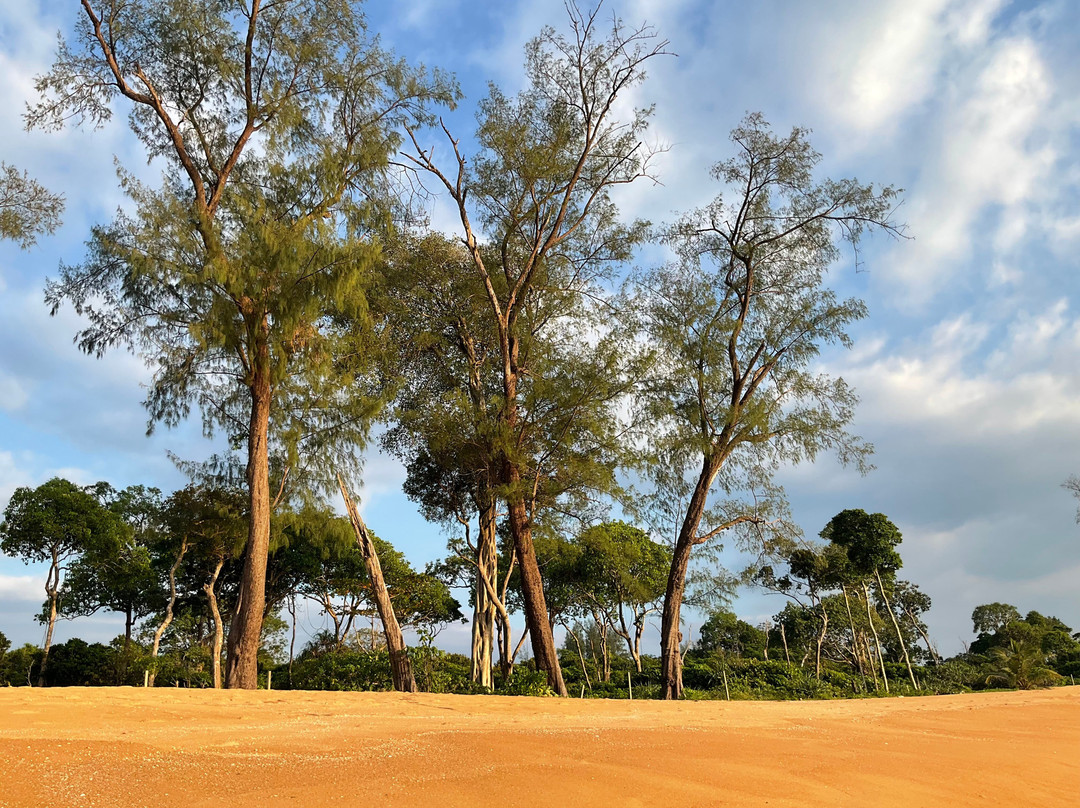 金佛海滩度假村主图