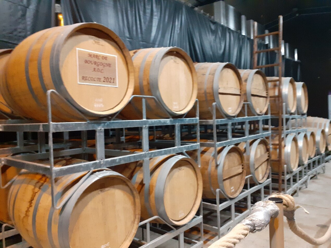 Le Cassissium-夜圣乔治必去景点