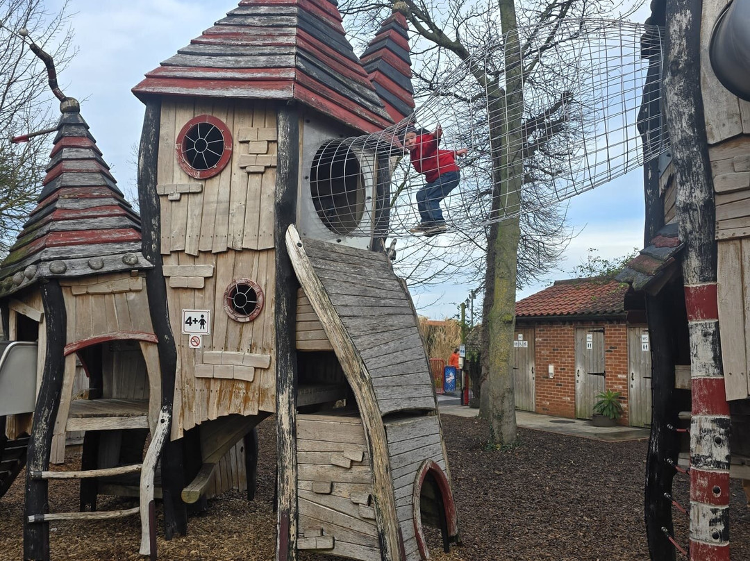 热带蝴蝶馆，野生动物和狩猎中心-谢菲尔德必去景点