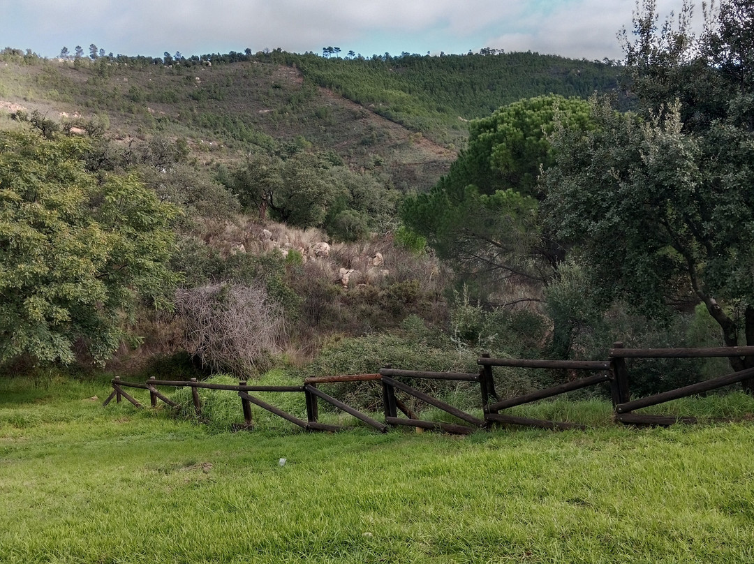 Complejo Los Veneros主图