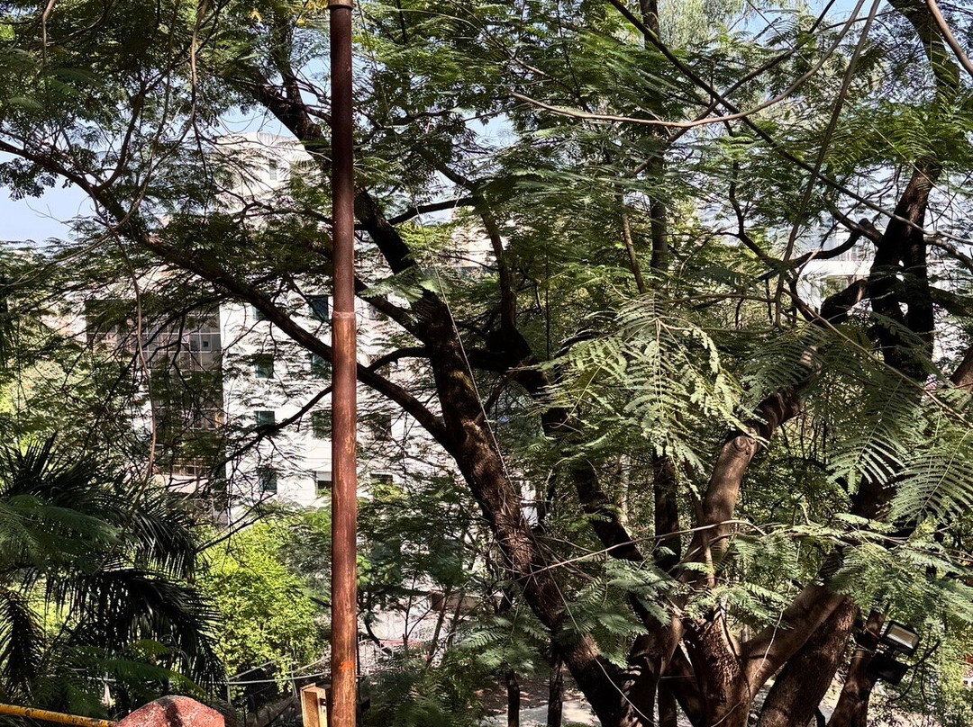 Chaturshrungi Temple-浦那必去景点