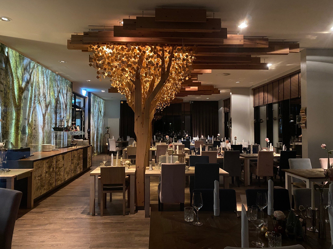 全景阿施贝格酒店