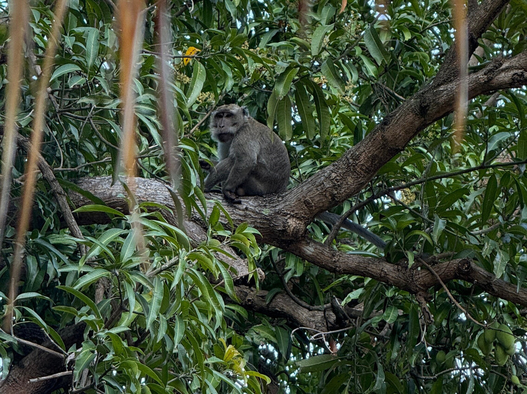 Scuba Junkie Komodo-Labuan Bajo必去景点