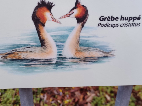 Parc du Sausset-Aulnay-sous-Bois必去景点