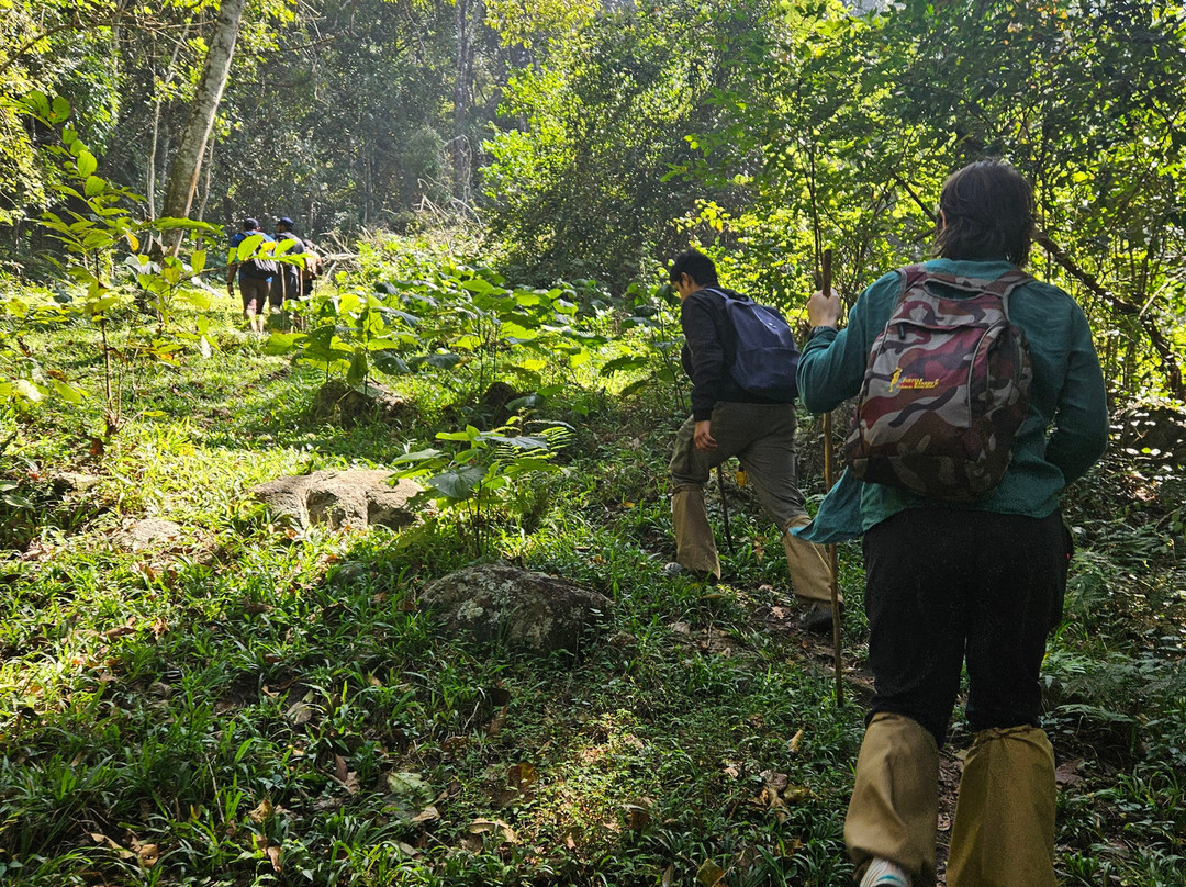 Periyar Tiger Reserve-帖可迪必去景点