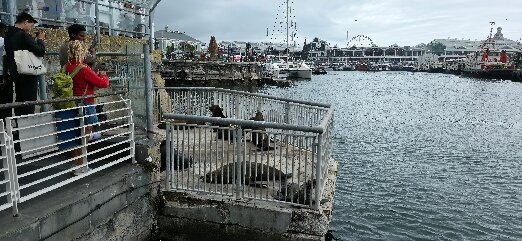 Victoria Wharf Shopping Centre-开普敦中心区必去景点