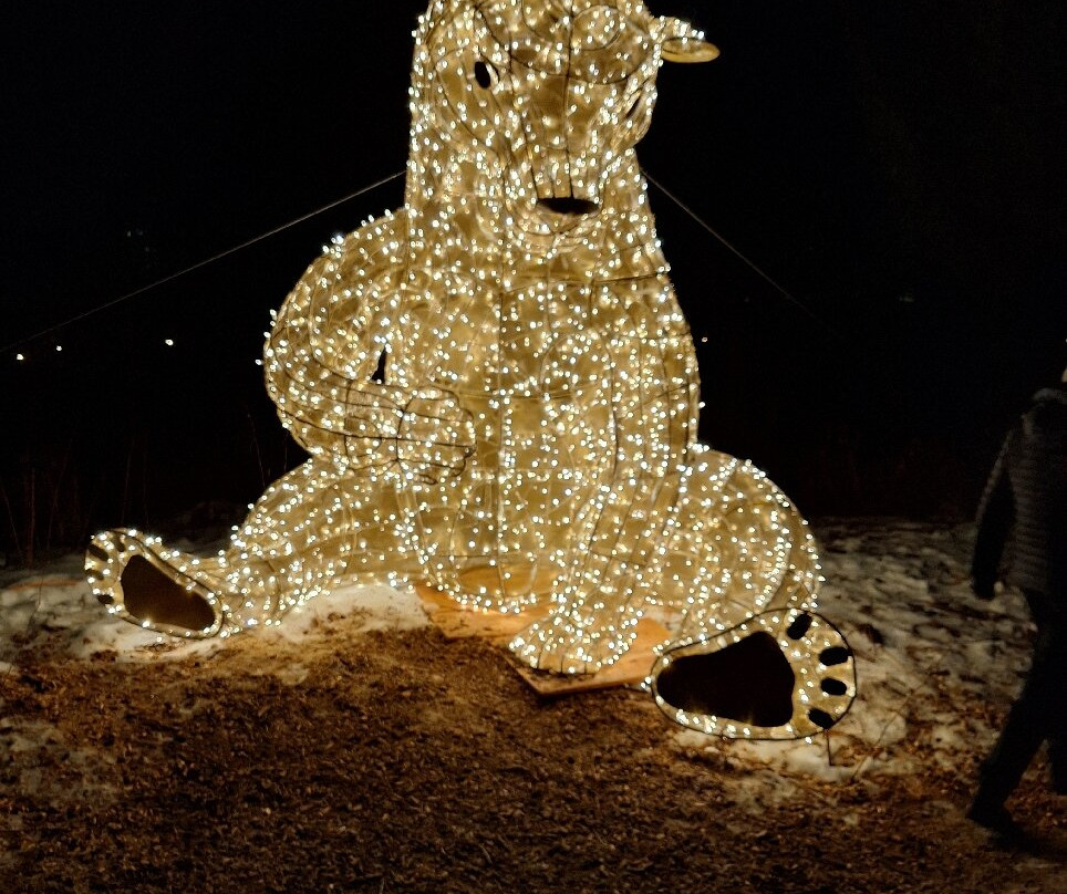 Zauberwald-Lenzerheide必去景点