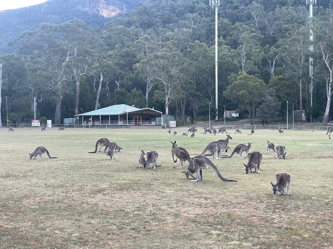 Gariwerd Motel主图