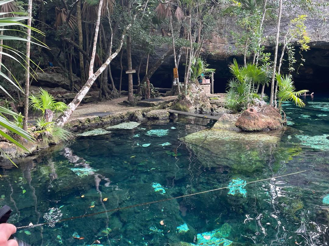 Dressel Divers Playa Del Carmen-普拉亚德尔卡曼必去景点
