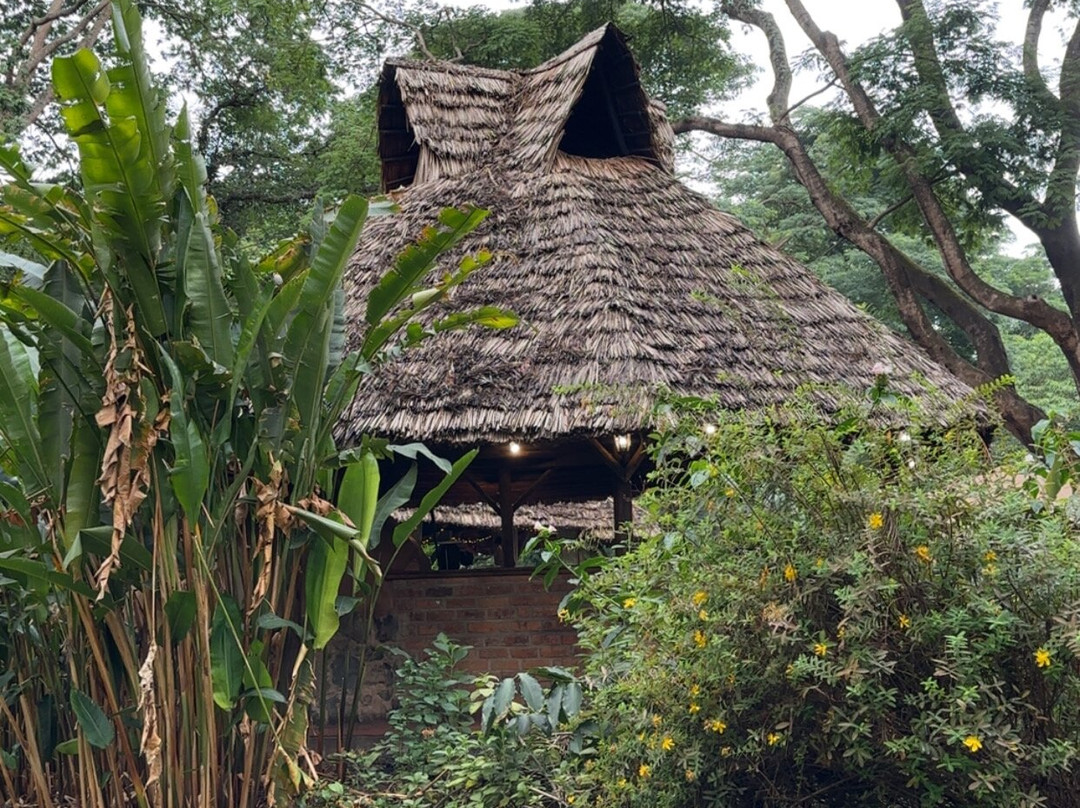 Earth Adventure-马斯喀特必去景点