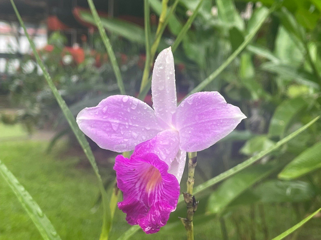 Best of Costa Rica DMC-圣何塞必去景点