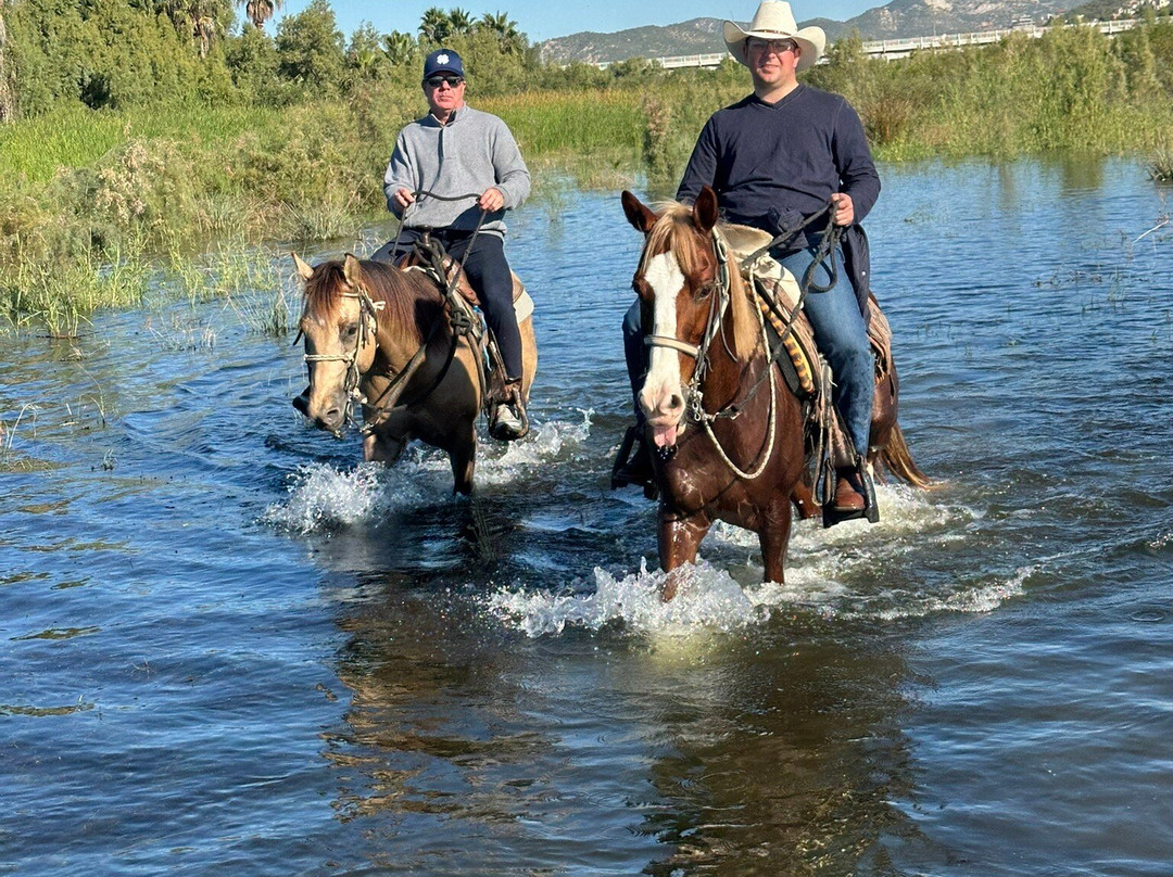 Rancho Animas-Animas Bajas必去景点
