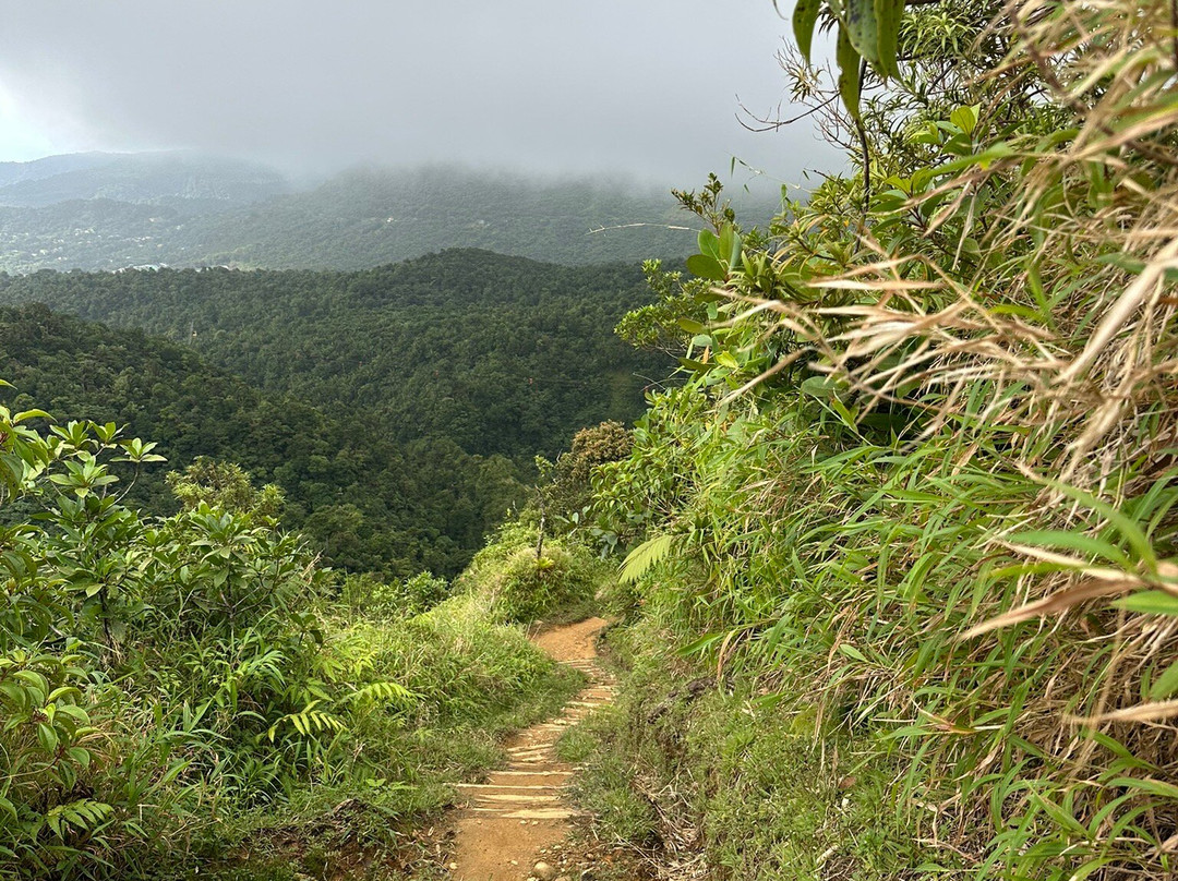 Boiling Lake-Morne Trois Pitons National Park必去景点