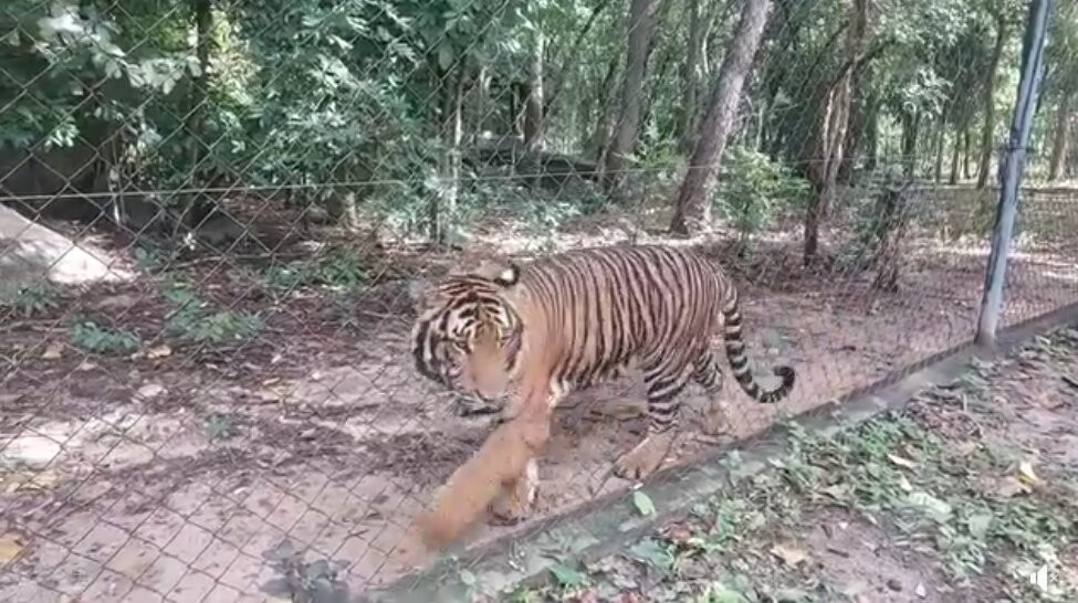 Cambodia Private Taxi Driver-金边必去景点