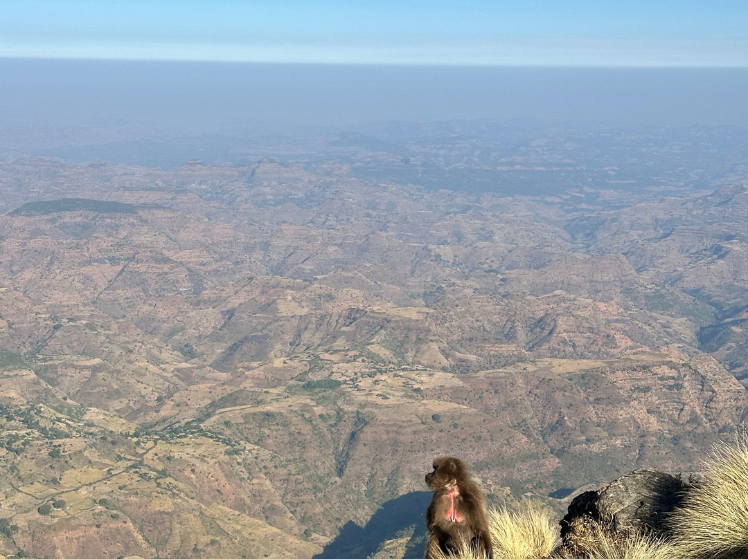 Simien Ethiopia Trekking by TAZ-Debark必去景点