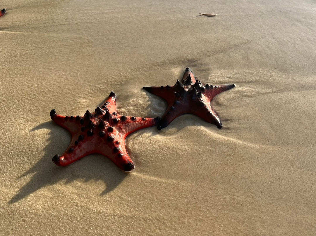 海星沙灘-Ganh Dau必去景点