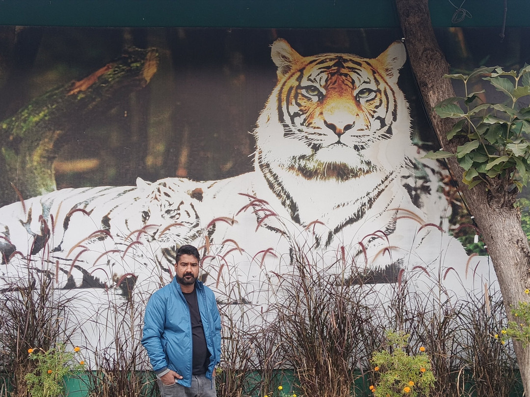 Tiaraa Hotels & Resorts主图