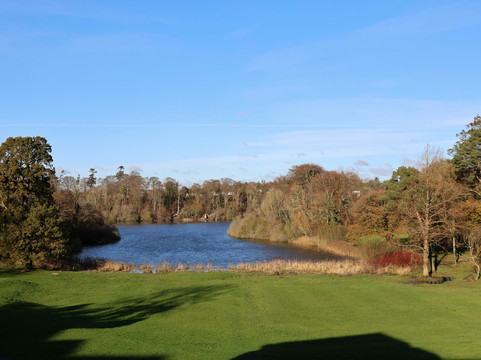 Nuremore Estate by McGettigan's主图