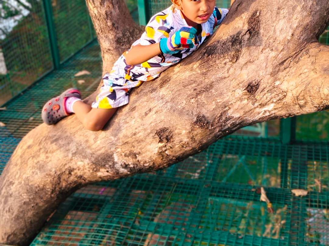 Cloud Forest Entertainment Park-Yelagiri必去景点