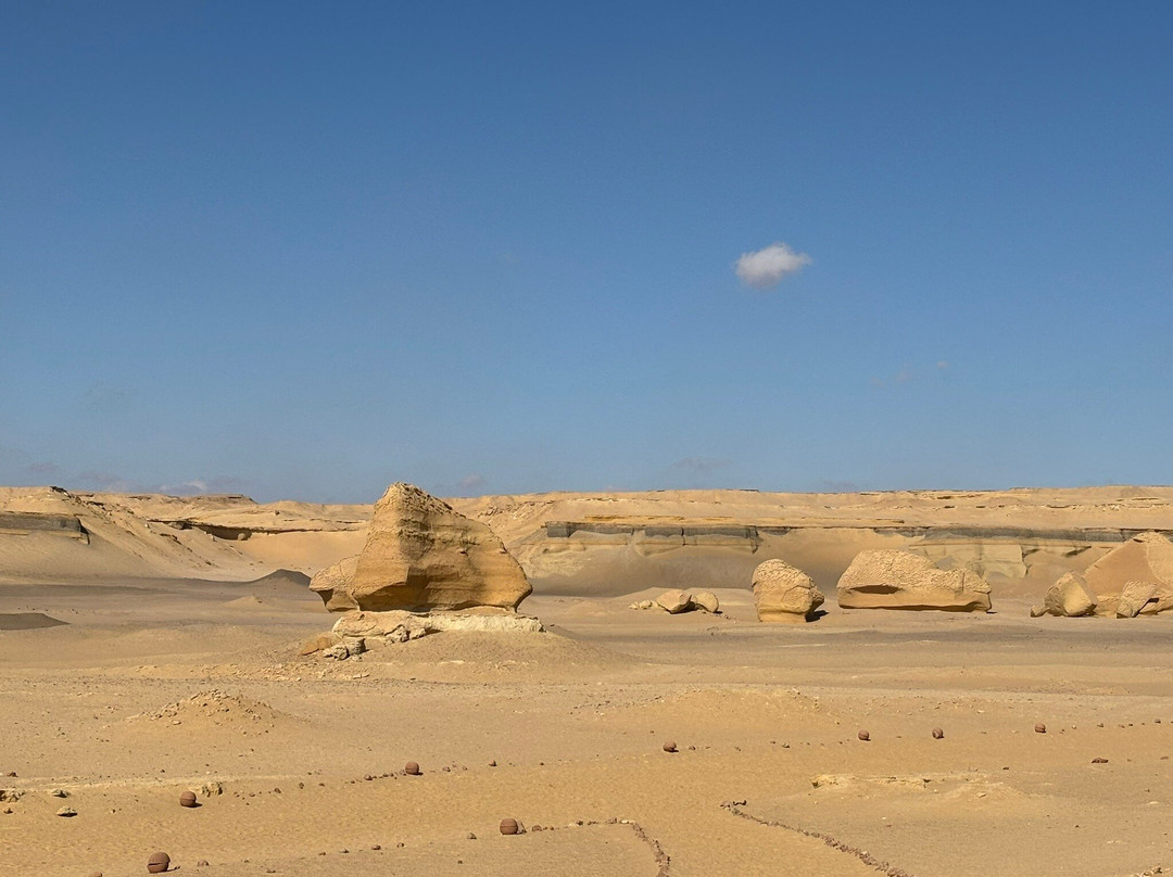 Explore Fayoum Tours-法尤姆必去景点