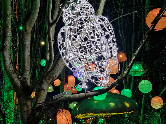 Webbs of Wychbold-德罗伊特威奇必去景点