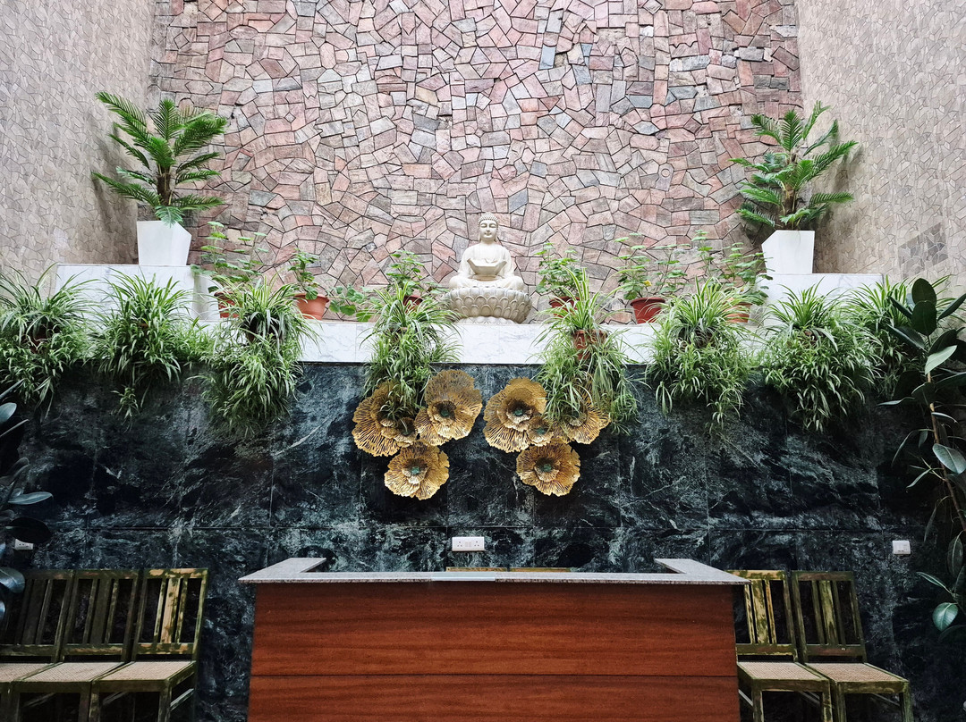 8fold  By Larisa, Shimla主图