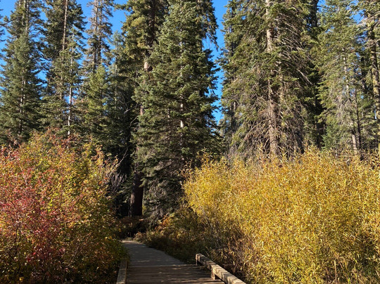 Crescent Meadow Loop-红杉&国王峡谷国家公园必去景点