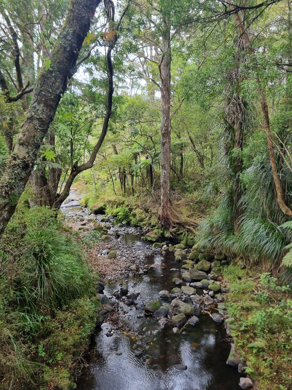 Bella Vista Motel Whangarei-官方