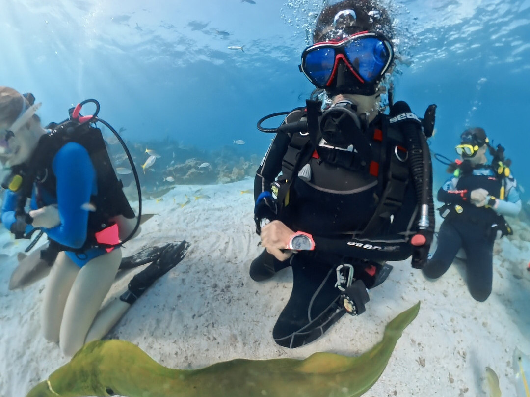 Captain Slate's SCUBA Adventures-Tavernier必去景点