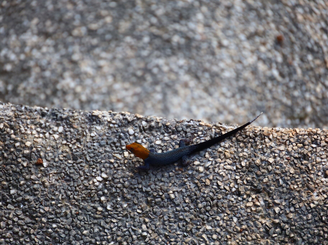 Rancho Capulin Bed&Breakfast主图