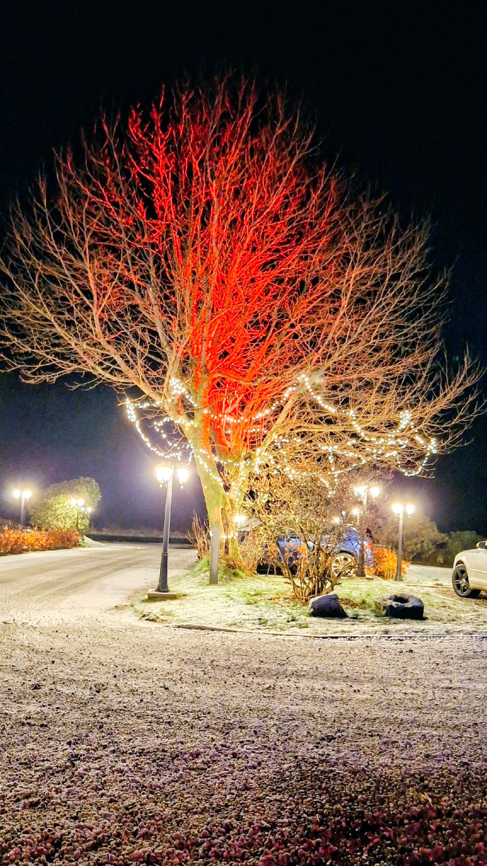 Knipoch House Hotel-官方