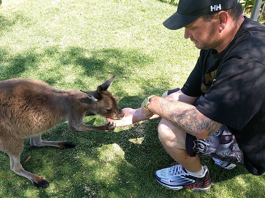 Glen-Forest Tourist Park & Vineyard-Port Lincoln必去景点