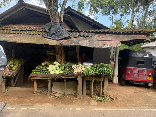 Village Rider-加勒必去景点