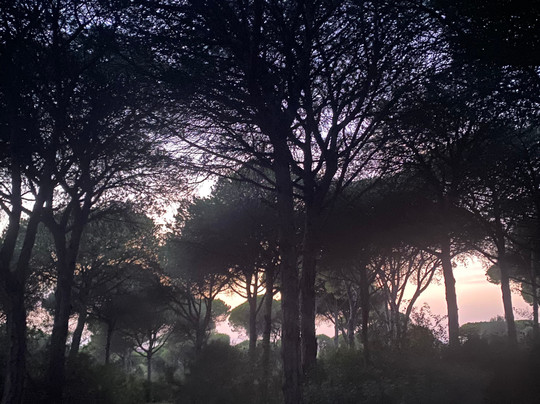 Wild Warrior Yoga-Los Canos de Meca必去景点