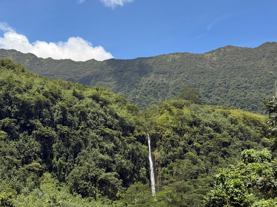 Tahiti Safari Expedition-阿鲁埃必去景点